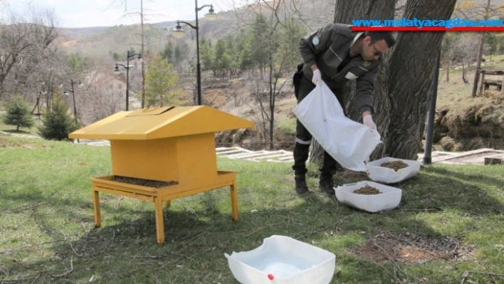 Sokak hayvanları için mesire alanlarına yem ve su bırakıldı