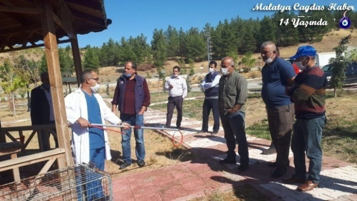 Sokak hayvanlarına müdahale eğitimi