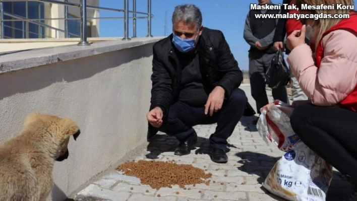 Sokak hayvanlarını besleyen gençlere plaket