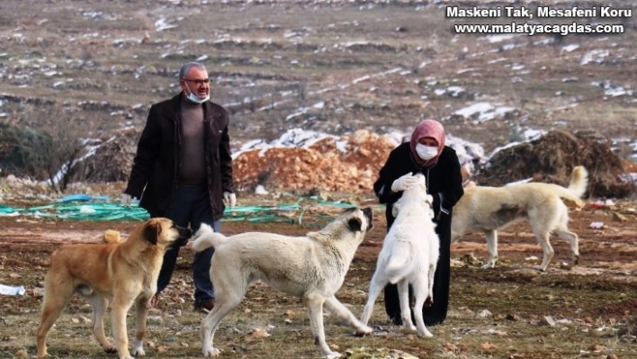 Silahla vurularak öldürülmüş halde bulundu