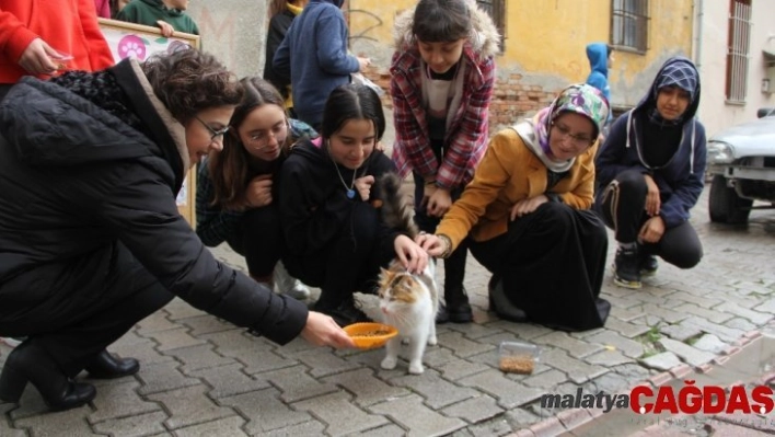 Sokak sokak kedi maması dağıttılar