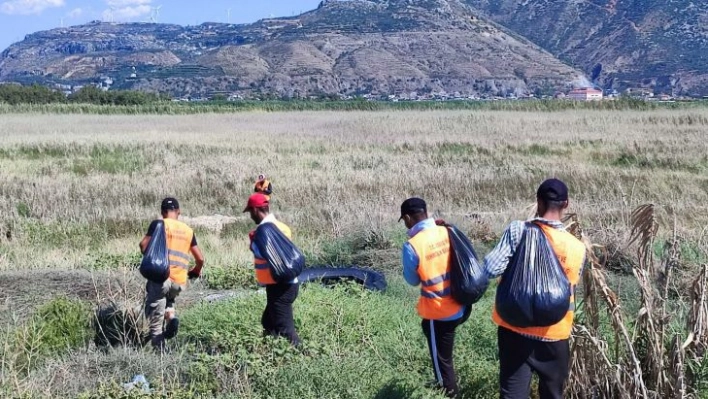 Su sümbüllerinin kapladığı sahilde petrol temizliği