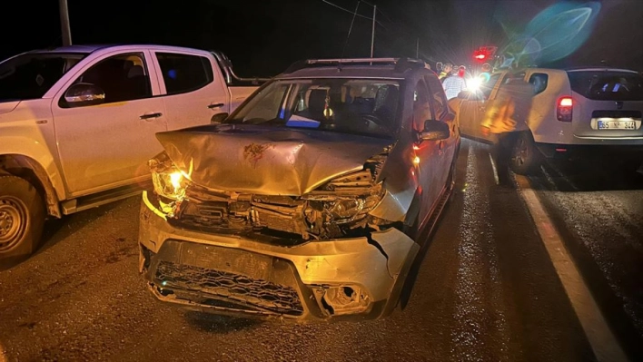 Sürüye çarpan otomobildeki 2 kişi yaralandı, 25 koyun telef oldu