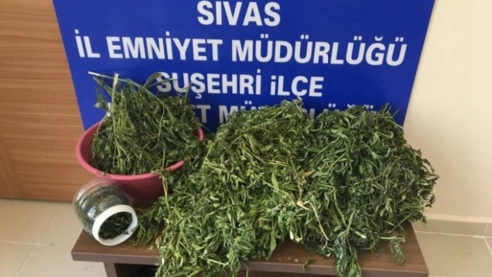 Suşehri'nde uyuşturucu operasyonu