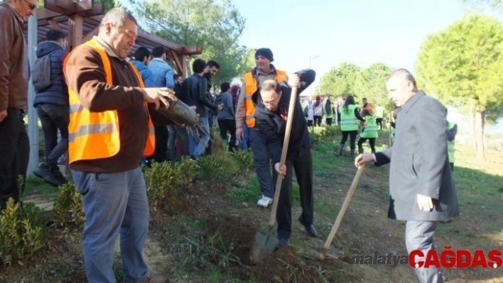 Takım Çalışması Dersinde fıstık çamlarını toprakla buluşturdular