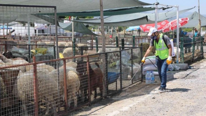 Talas'ın Kurban Pazarı'na tam not