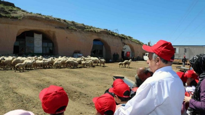 Talas'ta minikleri heyecanlandıran kuzu katımı