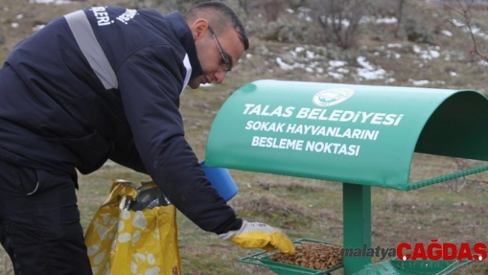 Talas, yaban hayvanlarını unutmadı