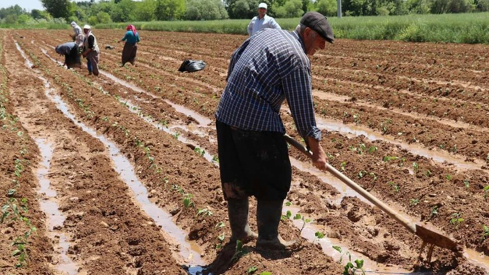 Tarım işçilerinin ücretleri arttı