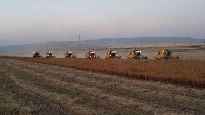 Tarım ÜFE ağustosta aylık bazda azaldı