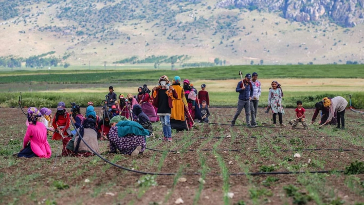 Tarımsal girdi fiyat endeksi arttı