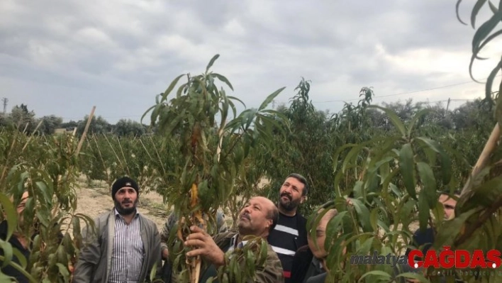 Tarsus'ta budama kurusunu tamamlayanlara sertifika