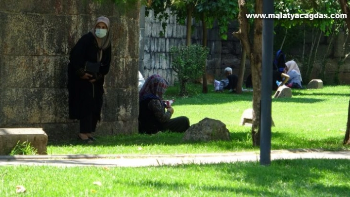 Tehlikeye aldırış etmeden serinliyorlar