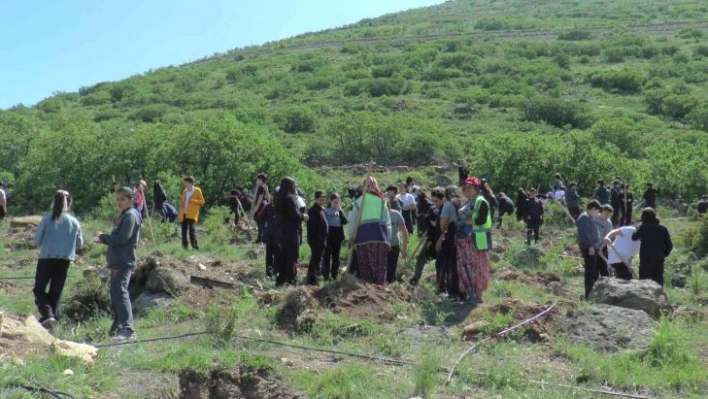 Tekden Koleji öğrencileri 280 fidanı toprakla buluşturdu