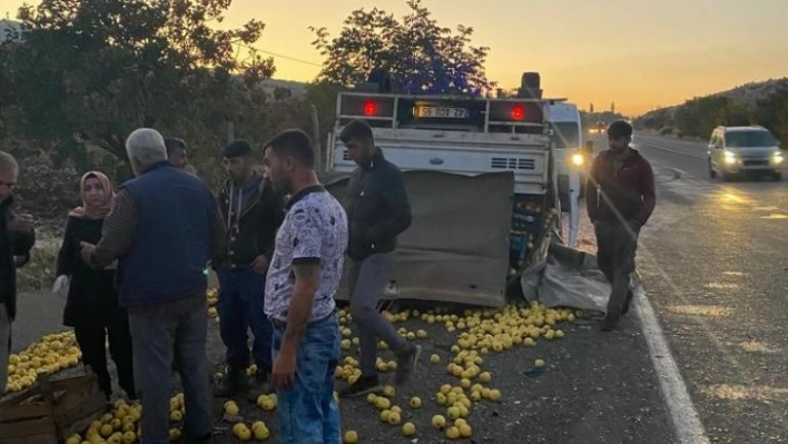 Tekeri patlayan elma yüklü kamyonet devrildi