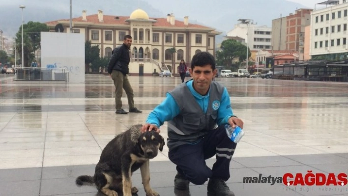 Temizlik işçisi ile sokak köpeğinin kıskandıran dostluğu