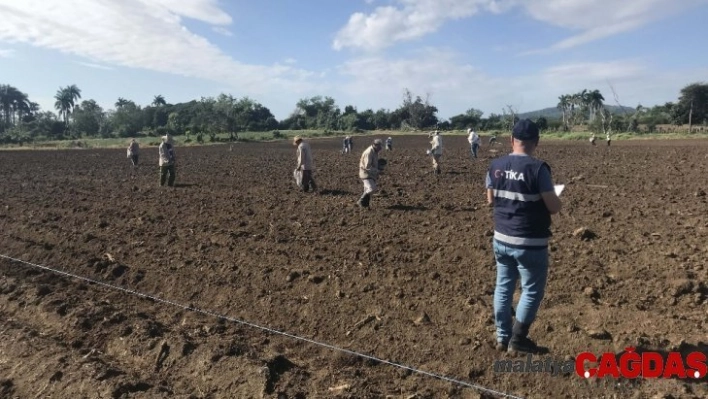 TİKA aracılığıyla yerli nohut Küba'da yetiştirilecek