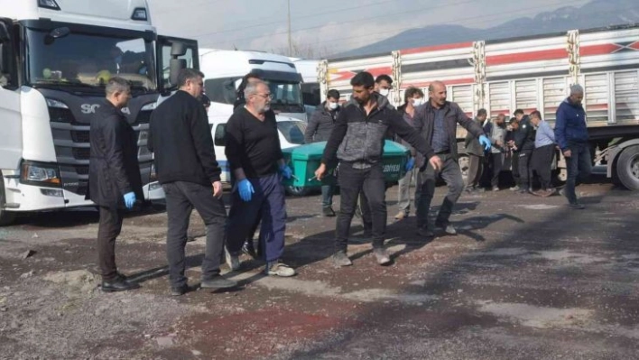 Tır Sürücüsü park halindeki aracının içinde ölü bulundu