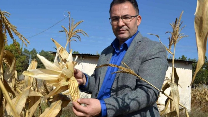 Tohumda dışa bağımlılıktan kurtuluyoruz, Türk bilim adamları geliştirdi