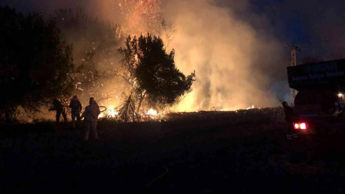 Trafodan ormanlık alana sıçrayan yangın büyümeden söndürüldü