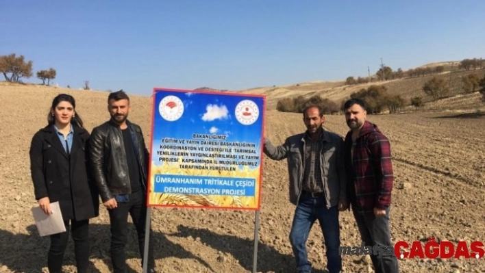 Tunceli'de tritikale demonstrasyonu için ekimler yapıldı