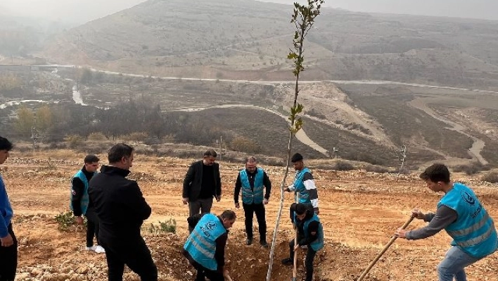 Ülkü Ocakları Malatya İl Başkanlığı'ndan Fidan Dikimi: Geleceğe Yeşil Miras