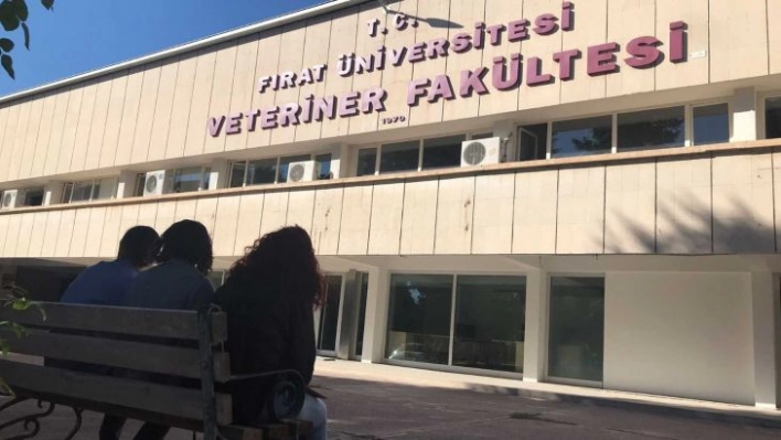 Uluslararası başarıya imza atan FÜ Veteriner Fakültesi, EAEVE tarafından akredite edildi