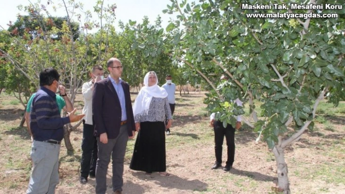 Vali Karaloğlu'ndan Bismil'de fıstık yetiştiricilerine aşılama desteği