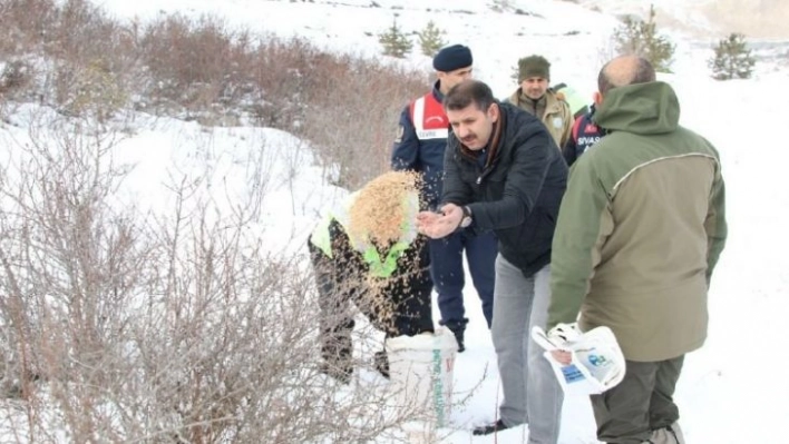 Vali yaban hayvanları için doğaya yem bıraktı