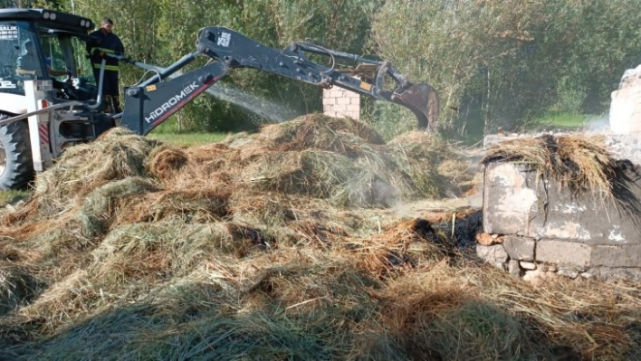 Van'da bin bağ ot yandı