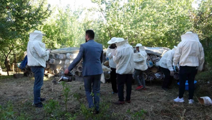 Van'da davullu zurnalı bal hasadı