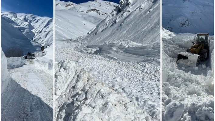 Van'da ekipler çığ nedeniyle kapanan yolu açmaya çalışıyor