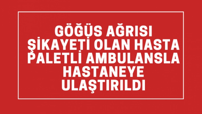 Van'da göğüs ağrısı şikayeti olan hasta paletli ambulansla hastaneye ulaştırıldı