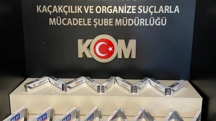 Van'da gümrük kaçakçılığı operasyonları