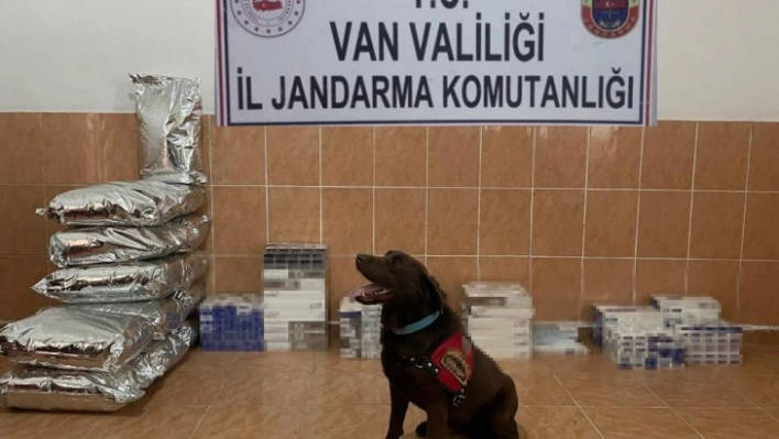 Van'da iki ayda 12 bin 438 paket kaçak sigara ele geçirildi