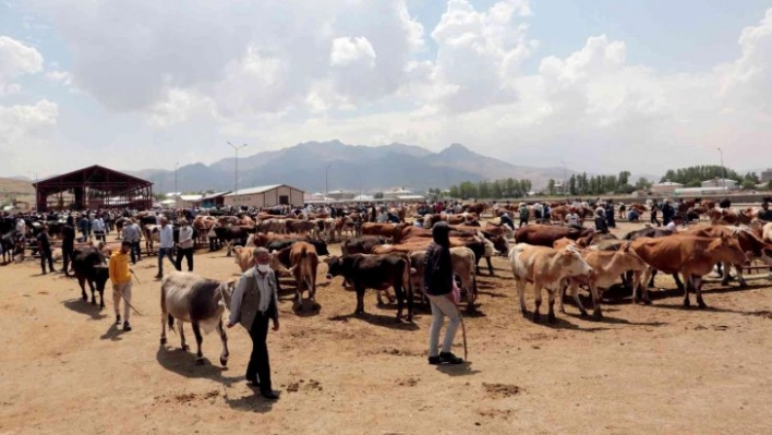 Van'da kurban kesim yerleri belirlendi