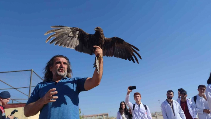 Van'da tedavileri tamamlanan 300 yabanî hayvan doğaya bırakıldı