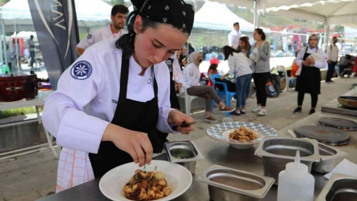 Van Gastronomi Festivali sona erdi