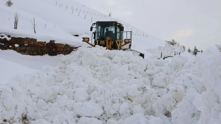 ​Van, Hakkari ve Muş'ta 218 yerleşim birimi ulaşıma kapandı