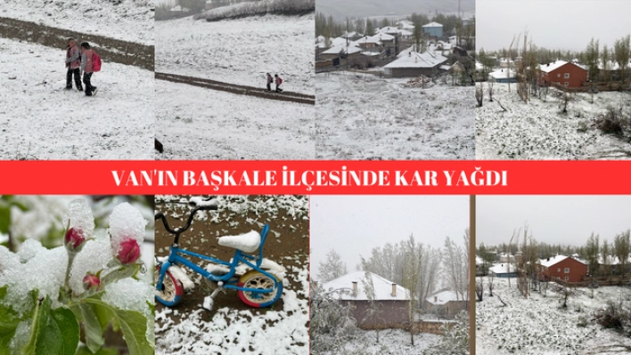 Van'ın Başkale ilçesinde kar yağdı