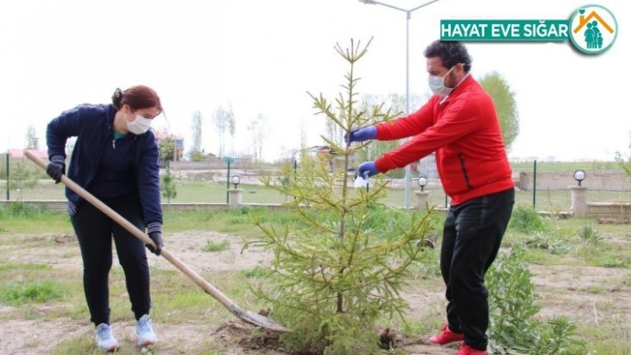 Van`da 14 günlük karantinada kalanlar fidan dikti