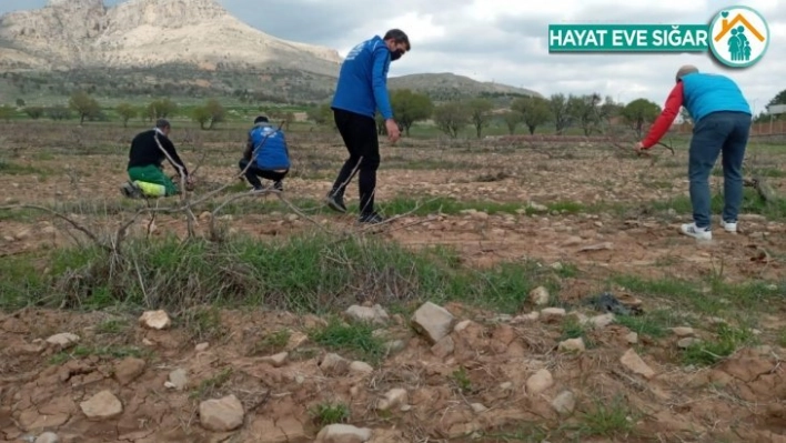 Vefa ekibi sokağa çıkamayan yaşlıların bağlarını budadı