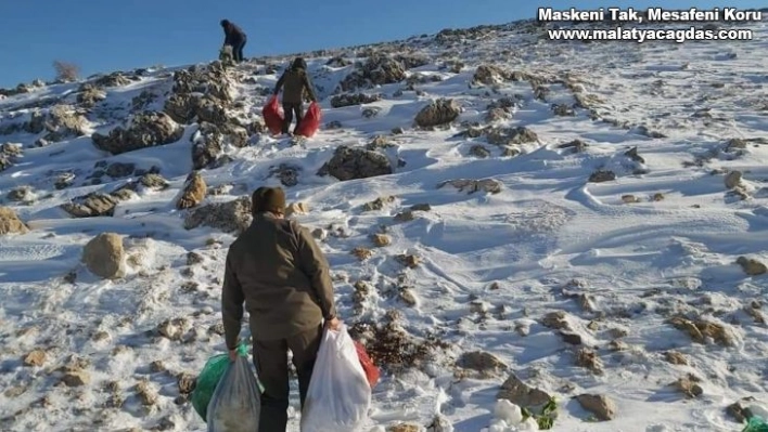 Yabani hayvanlar için Nemrut Dağına yem bırakıldı