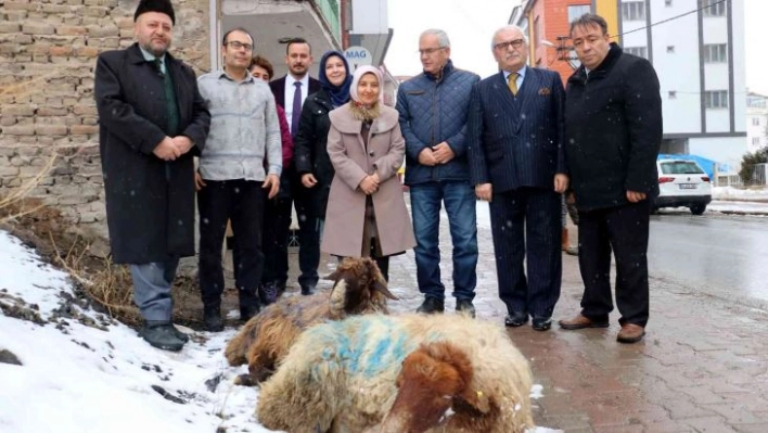 Yağan kar için şükür kurbanı kestiler