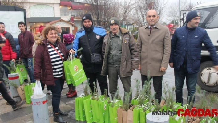 Yalova'da vatandaşlara 2 bin 200 çam fidanı dağıtıldı