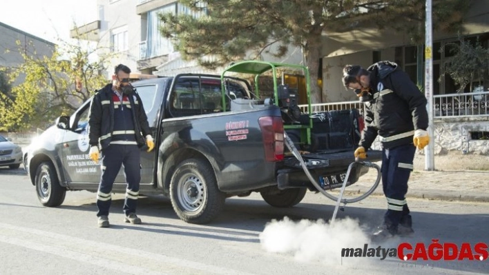 Yaz aylarının korkulu rüyası sivrisineklere şimdiden önlem alınıyor