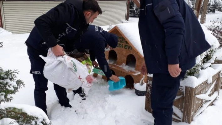 Yenişehir Belediyesi 'can dostları' unutmadı