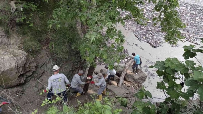 Yerköprü Piknik Alanı ve Çakıt Çayı'nda temizlik