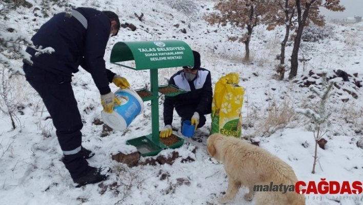 Yerleşim alanlarına inmesinler diye