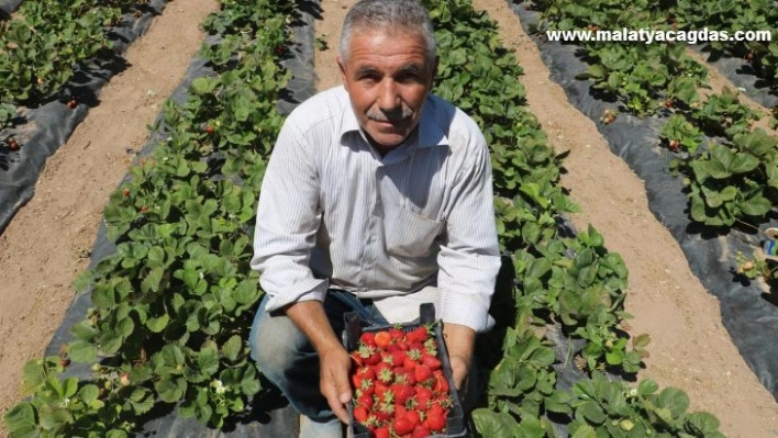 Yetiştiremezsin dediler, şimdi taleplere yetişemiyor